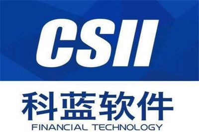 電子政務(wù)龍頭股排行榜 頂點(diǎn)軟件領(lǐng)跑，雄帝科技位列第八