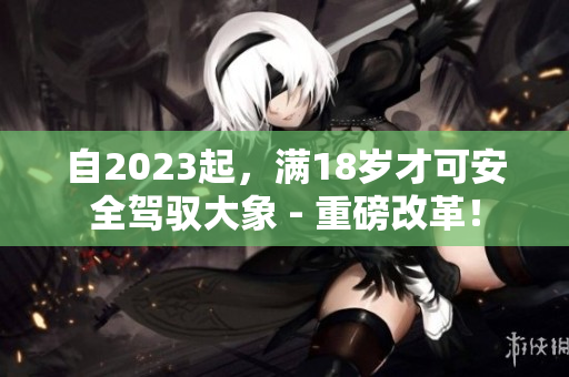 自2023起，滿18歲才可安全駕馭大象 - 重磅改革！