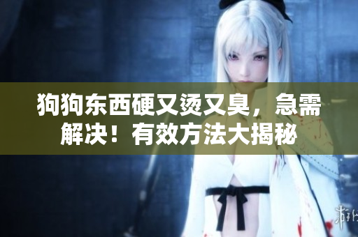狗狗東西硬又燙又臭，急需解決！有效方法大揭秘