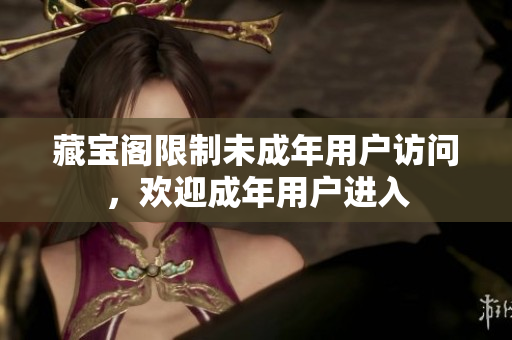 藏寶閣限制未成年用戶訪問(wèn)，歡迎成年用戶進(jìn)入