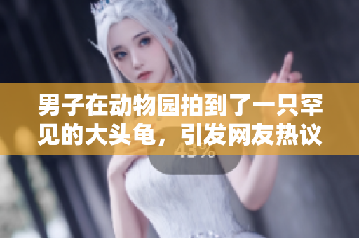 男子在動物園拍到了一只罕見的大頭龜，引發(fā)網(wǎng)友熱議