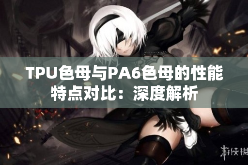 TPU色母與PA6色母的性能特點對比：深度解析
