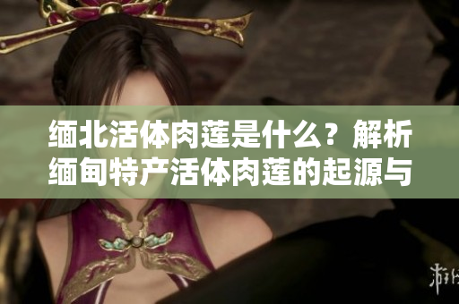 緬北活體肉蓮是什么？解析緬甸特產(chǎn)活體肉蓮的起源與特點(diǎn)