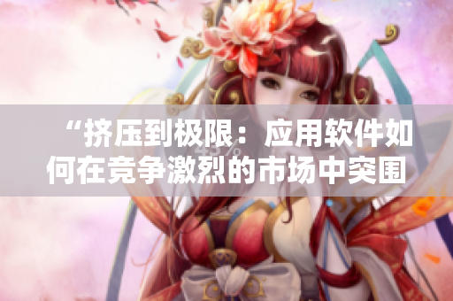“擠壓到極限：應(yīng)用軟件如何在競爭激烈的市場中突圍？”