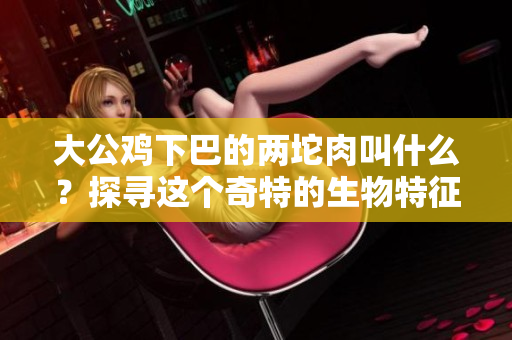 大公雞下巴的兩坨肉叫什么？探尋這個(gè)奇特的生物特征
