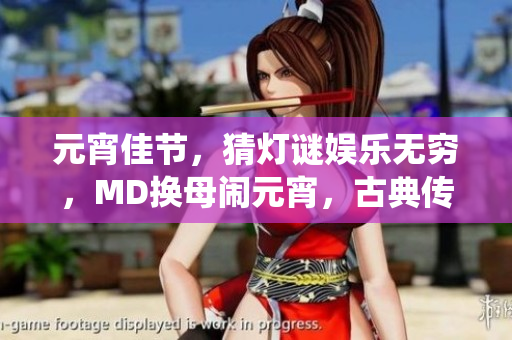 元宵佳節(jié)，猜燈謎娛樂無窮，MD換母鬧元宵，古典傳統(tǒng)重現(xiàn)風(fēng)采