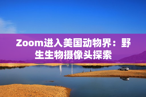 Zoom進(jìn)入美國(guó)動(dòng)物界：野生生物攝像頭探索