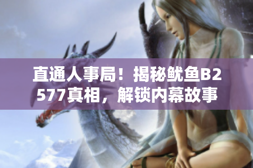 直通人事局！揭秘魷魚B2577真相，解鎖內(nèi)幕故事
