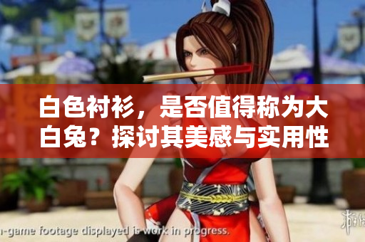 白色襯衫，是否值得稱為大白兔？探討其美感與實用性
