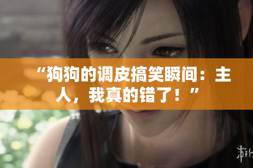 “狗狗的調(diào)皮搞笑瞬間：主人，我真的錯了！”