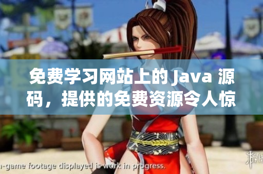 免費(fèi)學(xué)習(xí)網(wǎng)站上的 Java 源碼，提供的免費(fèi)資源令人驚嘆