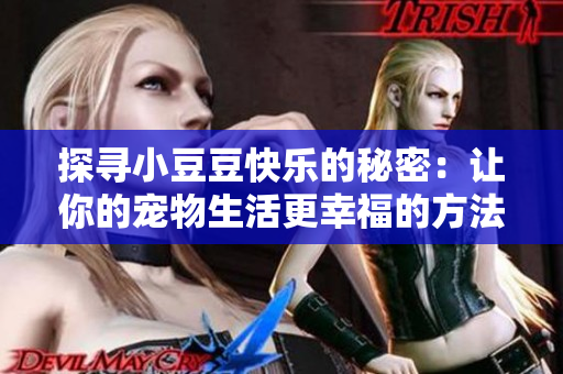 探尋小豆豆快樂的秘密：讓你的寵物生活更幸福的方法