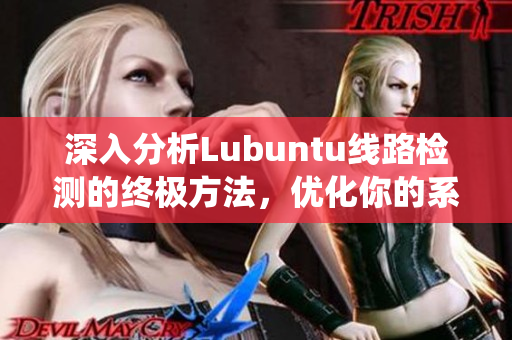 深入分析Lubuntu線路檢測(cè)的終極方法，優(yōu)化你的系統(tǒng)性能