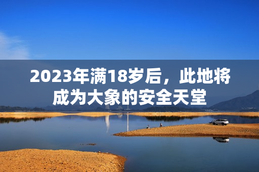 2023年滿18歲后，此地將成為大象的安全天堂