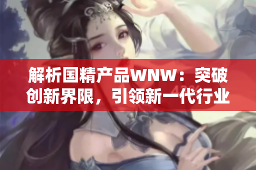 解析國(guó)精產(chǎn)品WNW：突破創(chuàng)新界限，引領(lǐng)新一代行業(yè)潮流