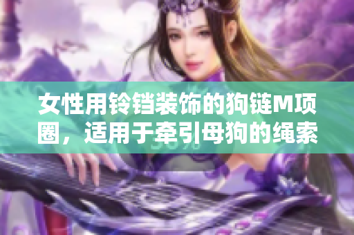 女性用鈴鐺裝飾的狗鏈M項圈，適用于牽引母狗的繩索