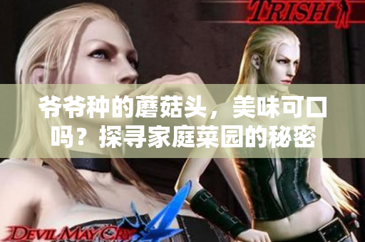 爺爺種的蘑菇頭，美味可口嗎？探尋家庭菜園的秘密