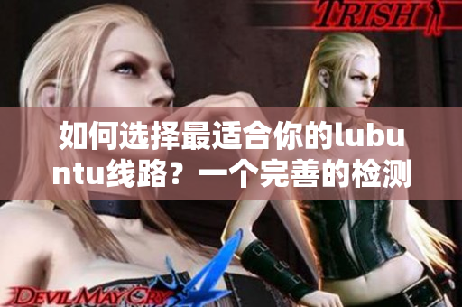 如何選擇最適合你的lubuntu線路？一個完善的檢測指南