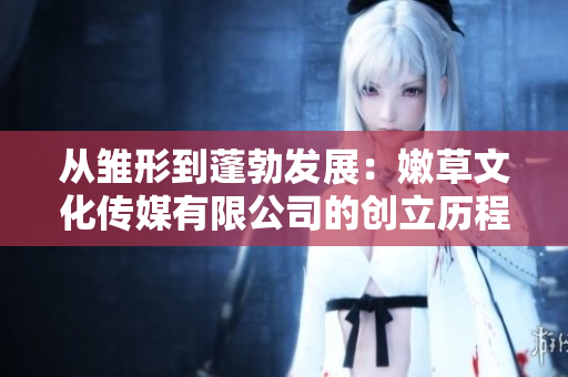 從雛形到蓬勃發(fā)展：嫩草文化傳媒有限公司的創(chuàng)立歷程與成長之路