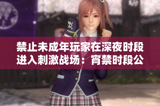 禁止未成年玩家在深夜時段進入刺激戰(zhàn)場：宵禁時段公告