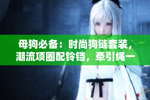 母狗必備：時(shí)尚狗鏈套裝，潮流項(xiàng)圈配鈴鐺，牽引繩一應(yīng)俱全