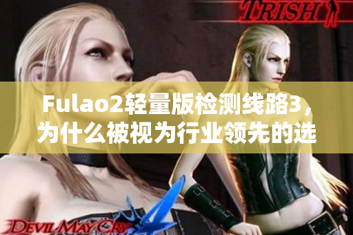 Fulao2輕量版檢測線路3，為什么被視為行業(yè)領(lǐng)先的選擇？