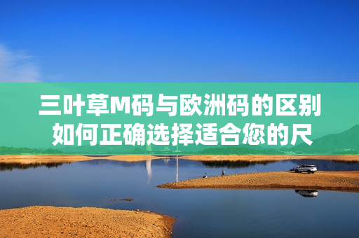 三葉草M碼與歐洲碼的區(qū)別 如何正確選擇適合您的尺碼？