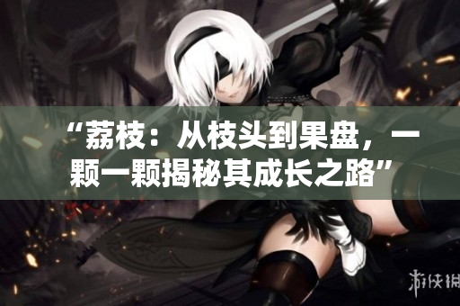 “荔枝：從枝頭到果盤，一顆一顆揭秘其成長之路”
