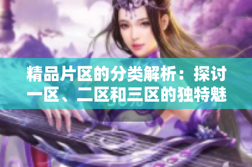 精品片區(qū)的分類解析：探討一區(qū)、二區(qū)和三區(qū)的獨(dú)特魅力