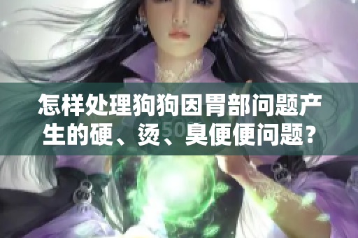 怎樣處理狗狗因胃部問題產(chǎn)生的硬、燙、臭便便問題？