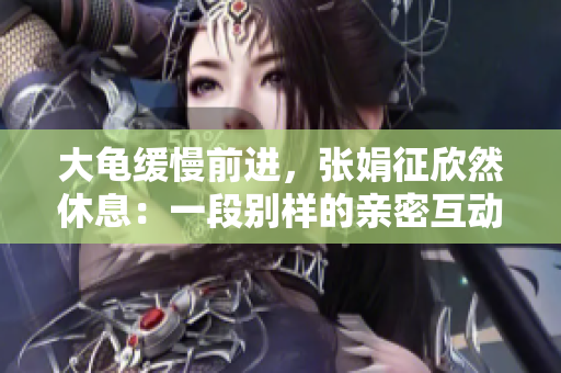 大龜緩慢前進(jìn)，張娟征欣然休息：一段別樣的親密互動(dòng)