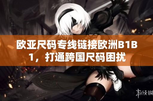 歐亞尺碼專線鏈接歐洲B1B1，打通跨國(guó)尺碼困擾