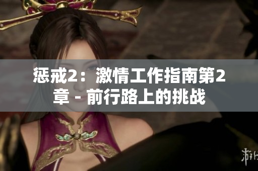 懲戒2：激情工作指南第2章 - 前行路上的挑戰(zhàn)