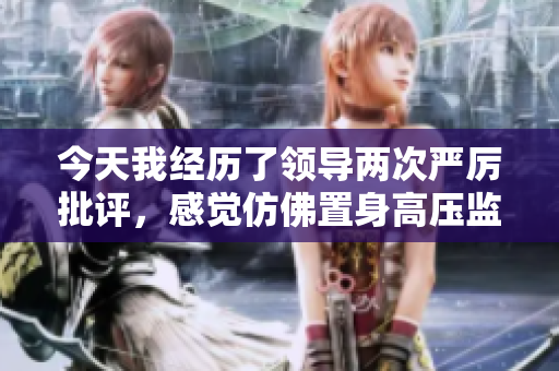 今天我經(jīng)歷了領(lǐng)導(dǎo)兩次嚴(yán)厲批評，感覺仿佛置身高壓監(jiān)獄