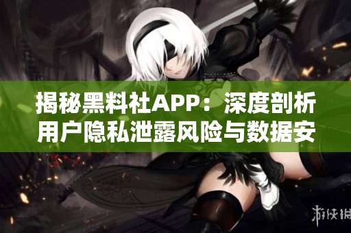 揭秘黑料社APP：深度剖析用戶隱私泄露風(fēng)險(xiǎn)與數(shù)據(jù)安全防范措施