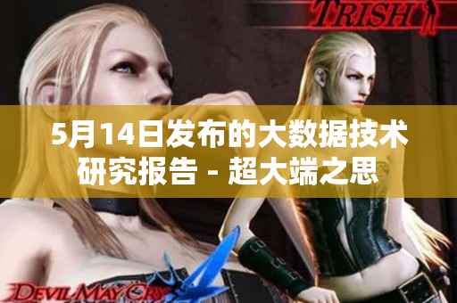 5月14日發(fā)布的大數(shù)據(jù)技術(shù)研究報告 - 超大端之思