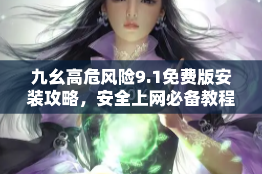 九幺高危風(fēng)險9.1免費版安裝攻略，安全上網(wǎng)必備教程