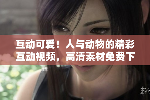 互動可愛！人與動物的精彩互動視頻，高清素材免費下載