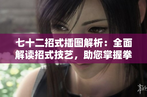七十二招式插圖解析：全面解讀招式技藝，助您掌握拳法精髓！