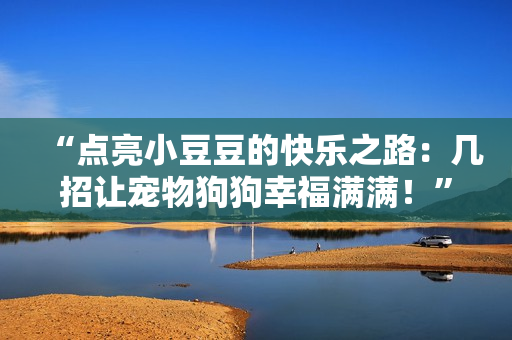 “點(diǎn)亮小豆豆的快樂(lè)之路：幾招讓寵物狗狗幸福滿滿！”