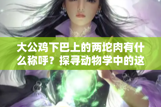 大公雞下巴上的兩坨肉有什么稱呼？探尋動(dòng)物學(xué)中的這一特征
