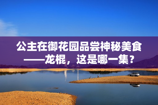 公主在御花園品嘗神秘美食——龍棍，這是哪一集？