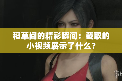 稻草間的精彩瞬間：截取的小視頻展示了什么？
