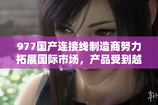 977國產(chǎn)連接線制造商努力拓展國際市場，產(chǎn)品受到越來越多用戶的青睞