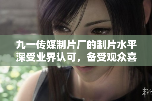 九一傳媒制片廠的制片水平深受業(yè)界認(rèn)可，備受觀眾喜愛(ài)