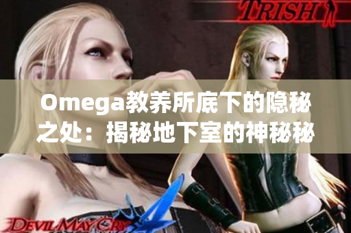 Omega教養(yǎng)所底下的隱秘之處：揭秘地下室的神秘秘密