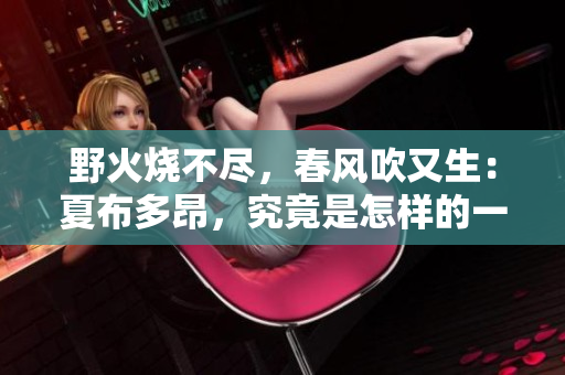 野火燒不盡，春風(fēng)吹又生：夏布多昂，究竟是怎樣的一本書？