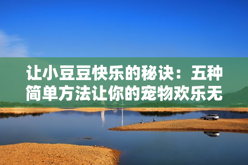 讓小豆豆快樂的秘訣：五種簡單方法讓你的寵物歡樂無限