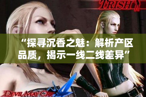 “探尋沉香之魅：解析產(chǎn)區(qū)品質(zhì)，揭示一線二線差異”