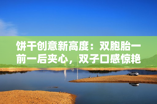 餅干創(chuàng)意新高度：雙胞胎一前一后夾心，雙子口感驚艷